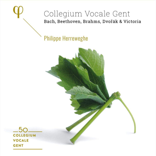 COLLEGIUM VOCALE GENT - PHILIPPE HERREWEGHE - 50 COLLEGIUM VOCALE GENTCOLLEGIUM VOCALE GENT - PHILIPPE HERREWEGHE - 50 COLLEGIUM VOCALE GENT.jpg